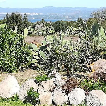 Tatil Evi L'oasi