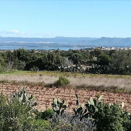 L'oasi *