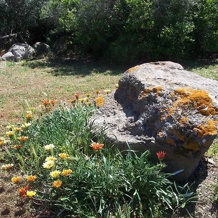 L'oasi